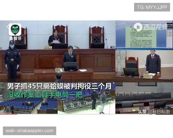 非法用手防守该如何判定？常见判罚场景解析